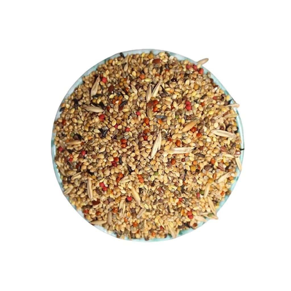 Premium seed mix: Daily Wild Feast+ 6 Premium seed mix