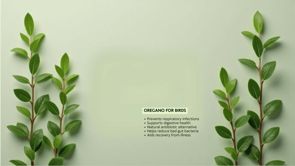 oregano for your feathered friends