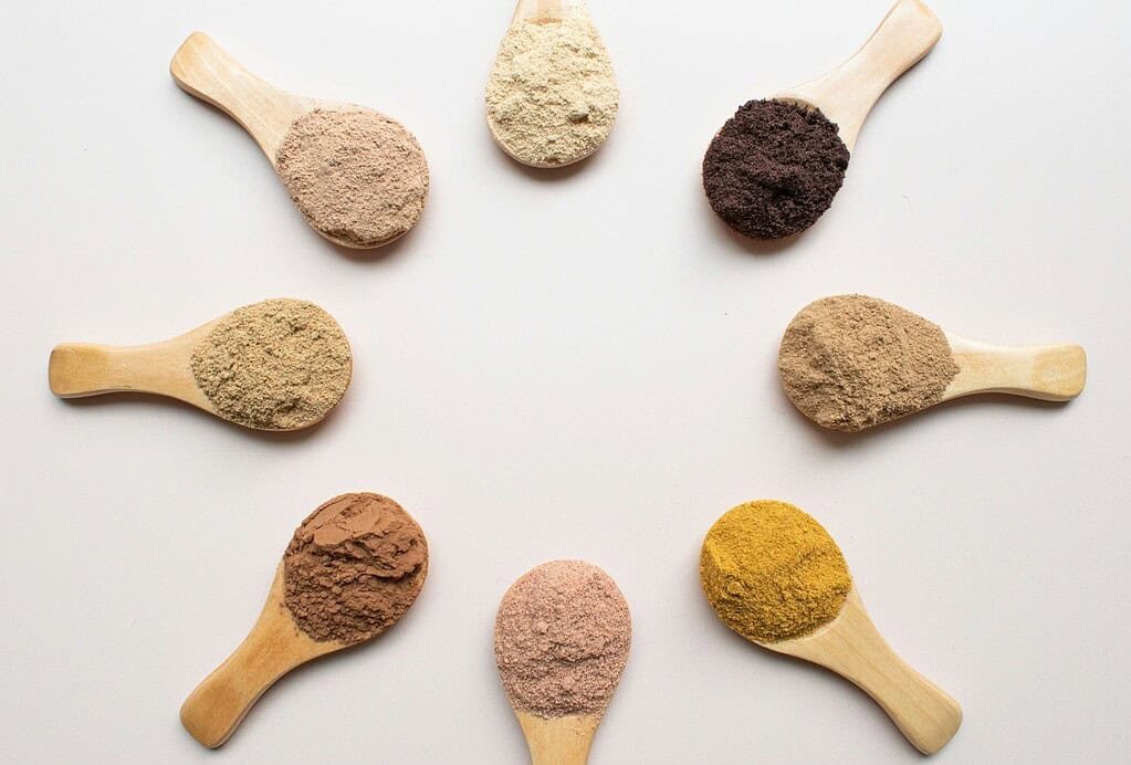 Herbal Bird Food vs. Store-Bought and why they are best LIPA's Herbal Bird Food