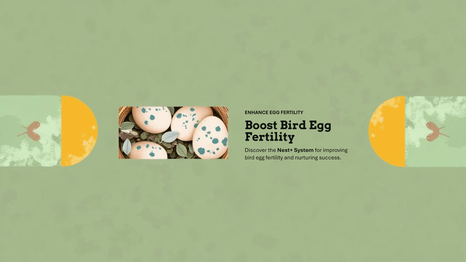 Boost egg fertility: Nest+ System (450 Gram)