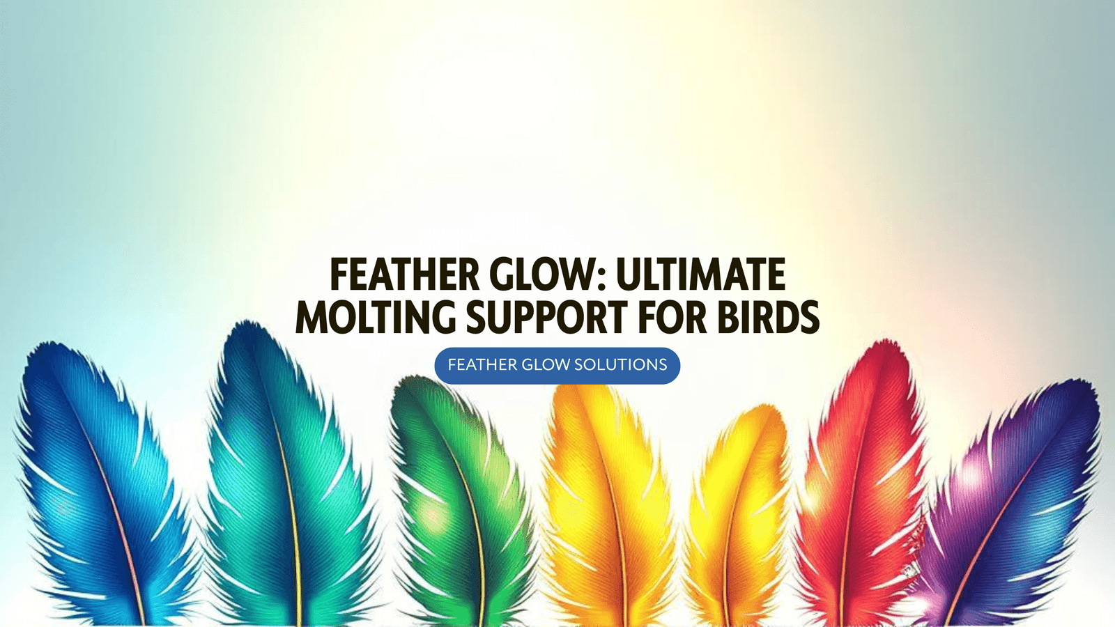 Feather Glow: Ultimate Molting Support Matrix