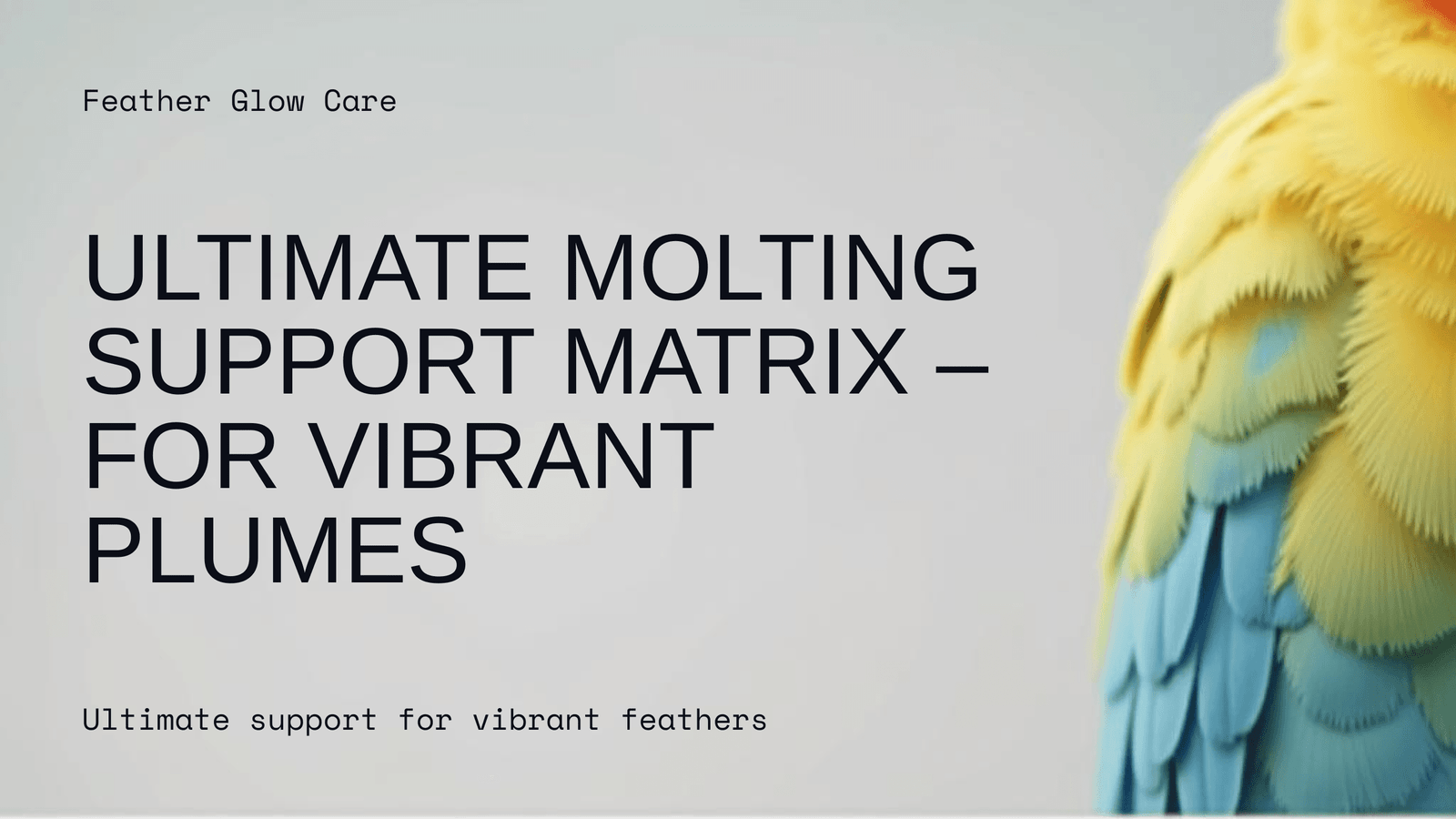 Feather Glow: Ultimate Molting Support Matrix – For Vibrant Plumes