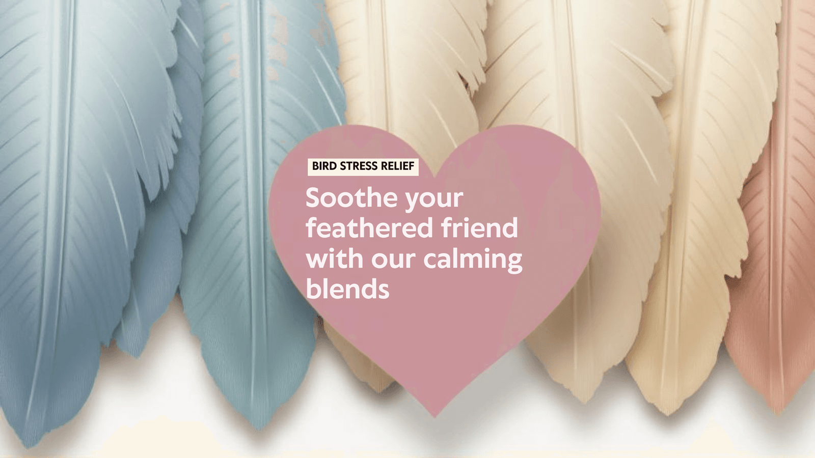 Bird Stress Relief: Calm Blend – Soothe Your Feathered Friend