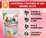 BOLTZ All-Life Calcium Block - Cuttlefish Enriched Mineral Supplement for Birds (250g)