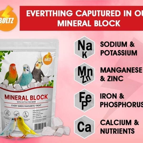 BOLTZ All-Life Calcium Block - Cuttlefish Enriched Mineral Supplement for Birds (250g)