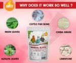 Natural Bird Mineral Block - Cuttlefish Bone & Essential Minerals for Beak & Bone Health (250gm)