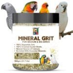 Avian Digestive Grit - Essential Mineral Supplement for Conures, African Greys & Big Birds (900gm Pack)