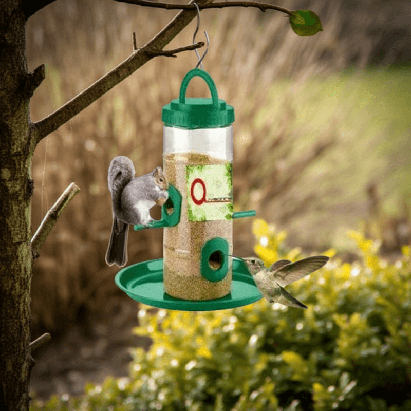 Bird Feeder Plastic edited 2