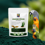 Avian-Grade Spirulina Supplement - Essential Nutrition for African Greys, Cockatiels & Lovebirds (100g)