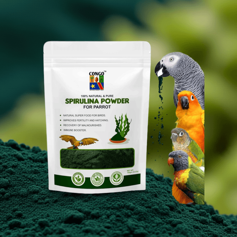 Avian-Grade Spirulina Supplement - Essential Nutrition for African Greys, Cockatiels & Lovebirds (100g)