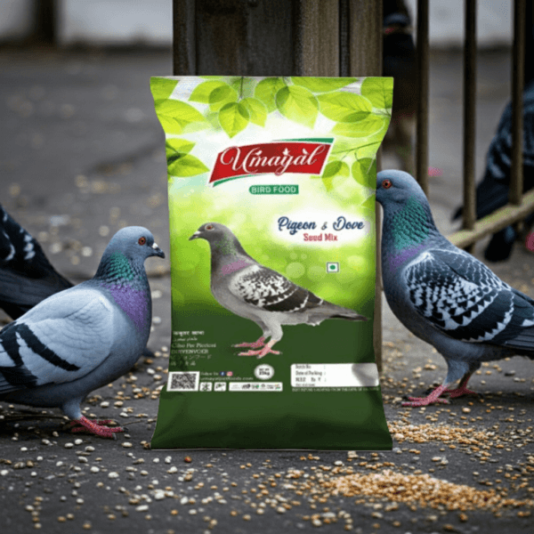 Premium Pigeon & Dove Mix