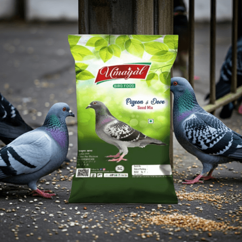 Premium Pigeon & Dove Mix